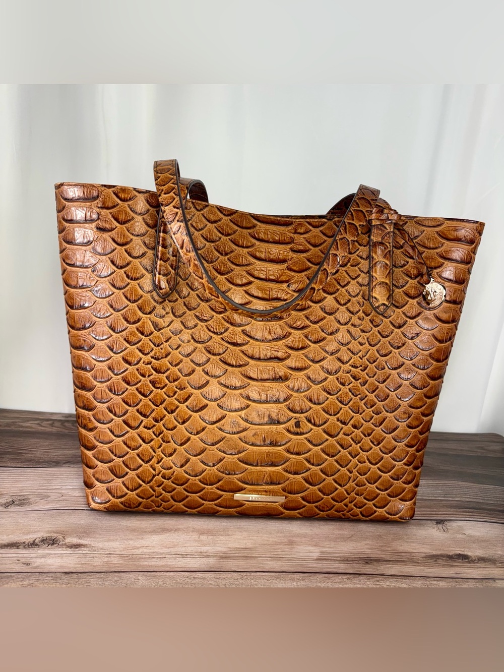 Brahmin Brooke Tote Brown Assorted Genuine Leather Bag Pouch NWT